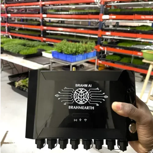 BrahmEarth grow room