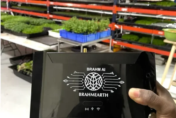BrahmEarth grow room