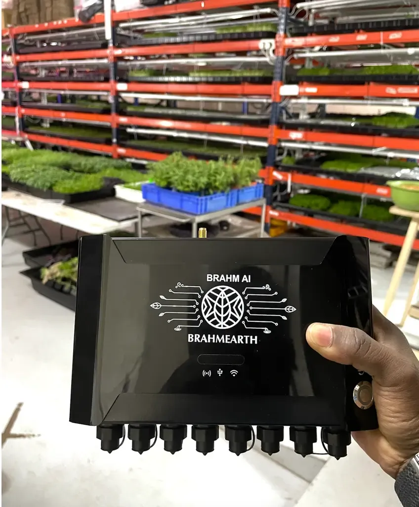 BrahmEarth grow room